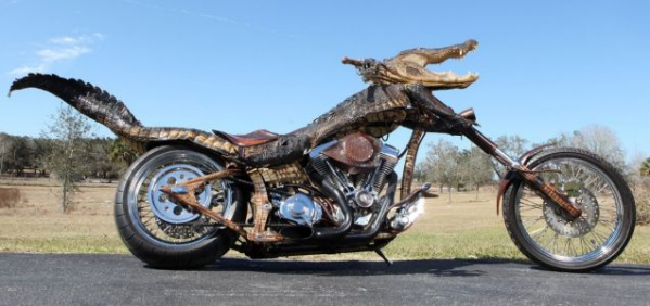 alligator_motorbike.jpg